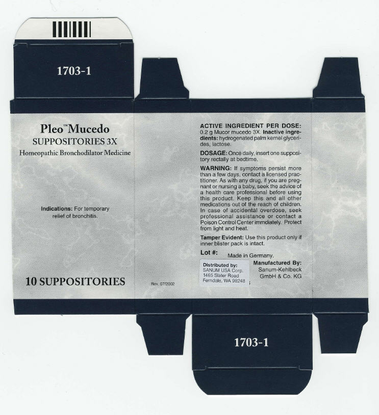 Principal Display Panel - 10 Suppositories Carton