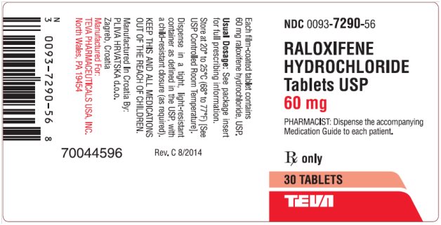 Raloxifene Hydrochloride Tablets USP 60 mg 30s Label