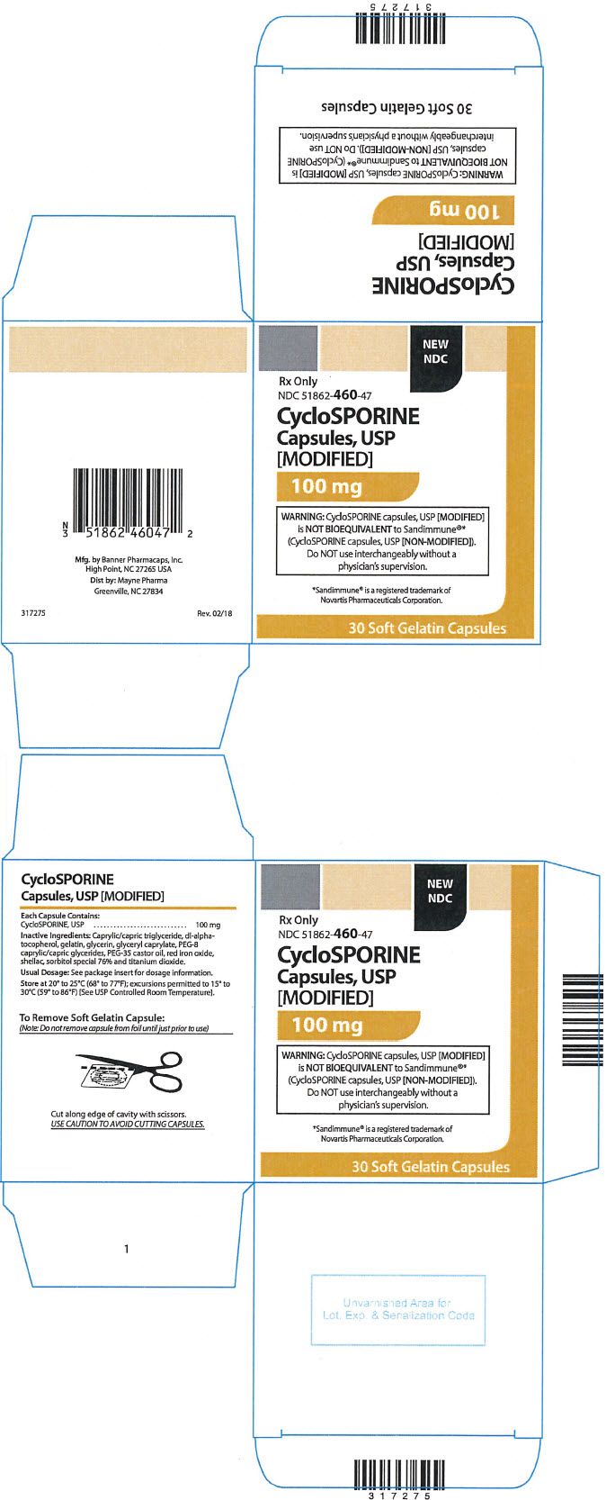 PRINCIPAL DISPLAY PANEL - 100 mg Capsule Blister Pack Box