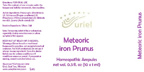 MeteoricIronPrunusAmpules