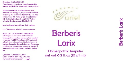 BerberisLarixAmpules