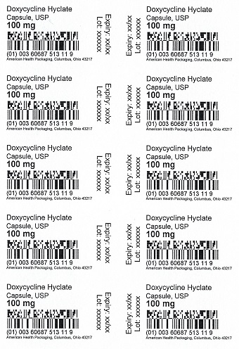 100 mg Doxycycline Hyclate Capsule Blister