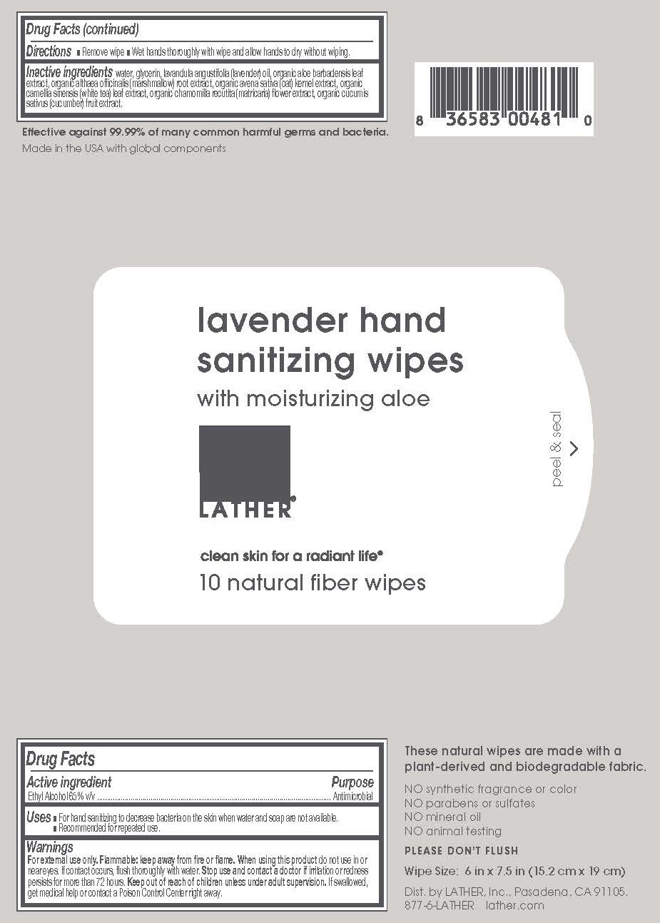 01b LBL_HandSanitizingWipes-10pack_FDA