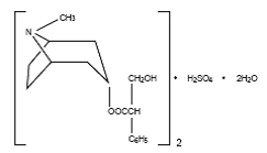 Molecular Structure of Hyoscyamine sulfate