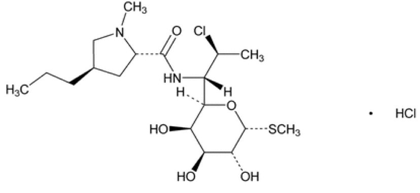 Structure.jpg