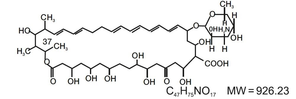 structure-nyst