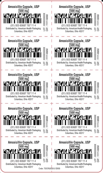 500 mg Amoxicillin Capsule Blister