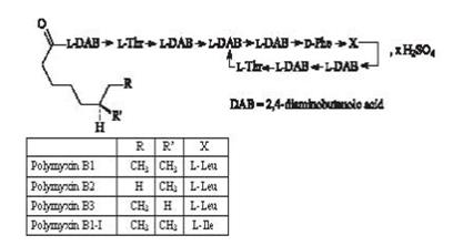 The structural formula for polymyxin B sulfate 