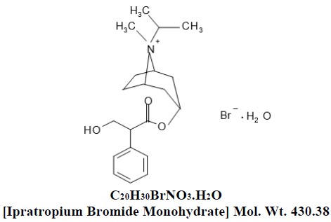 Ipratropium Bromide Monohydrate