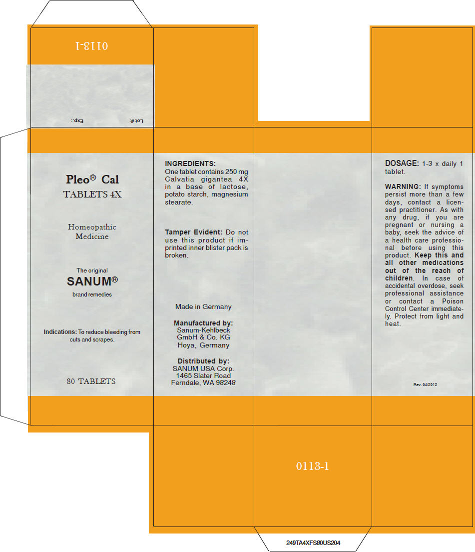 Principal Display Panel - Blister Pack Carton