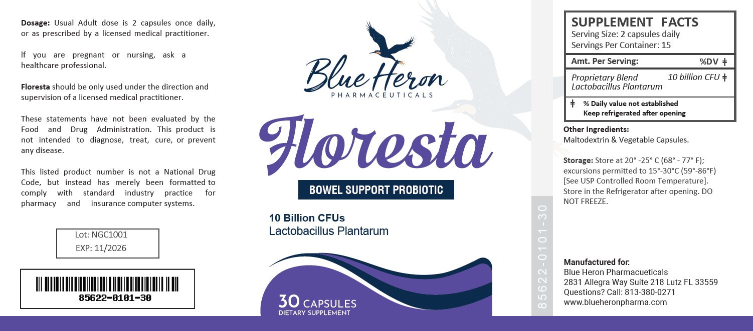 Floresta_2