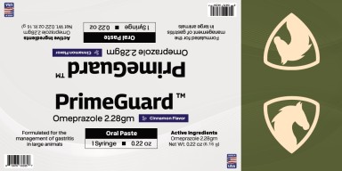 PrimeGuard Cinnamon
