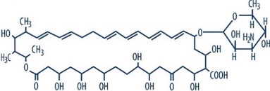CHNO Molecular Weight:  926.13