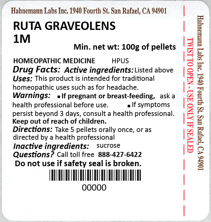 Ruta Graveolens 1M 100g