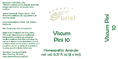 ViscumPini10Ampules
