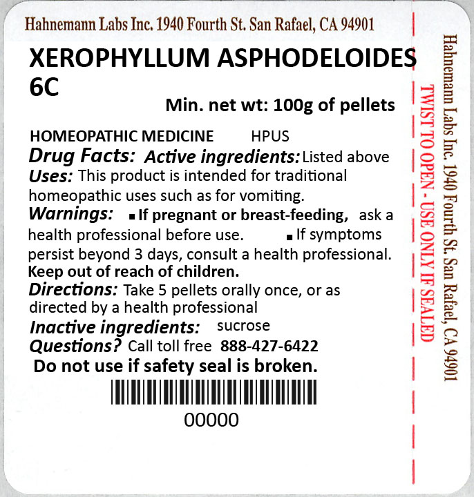 Xerophyllum Asphodeloides 6C 100g