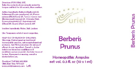 BerberisPrunusAmpules