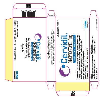 PRINCIPAL DISPLAY PANEL - 10 mg Pouch Carton