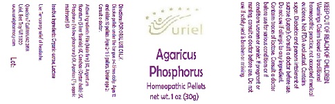 AgaricusPhosphorusPellets