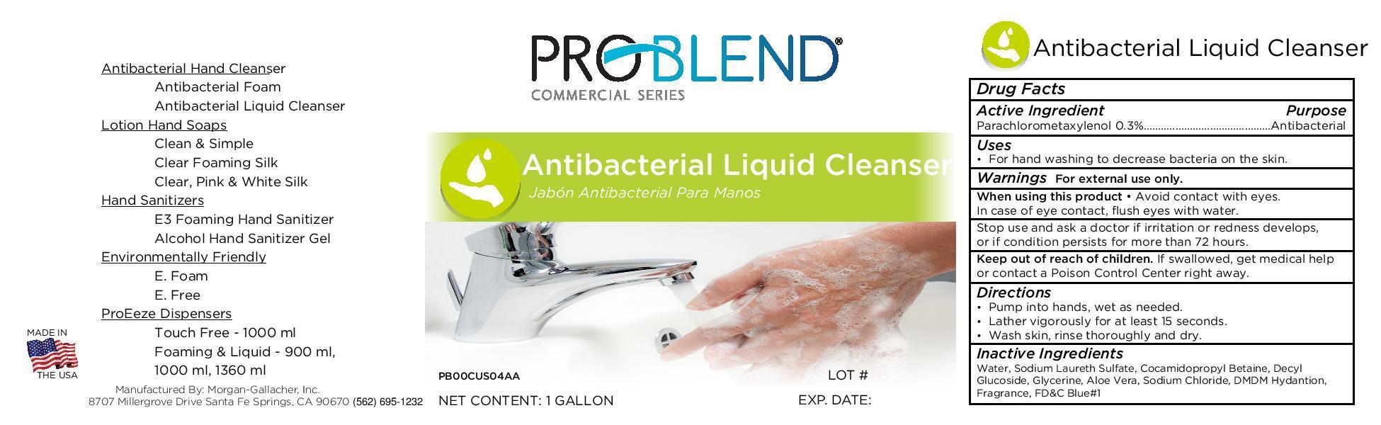 Problend Antibacterial Liquid Cleanser