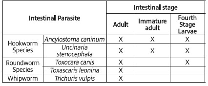 Indications List Table