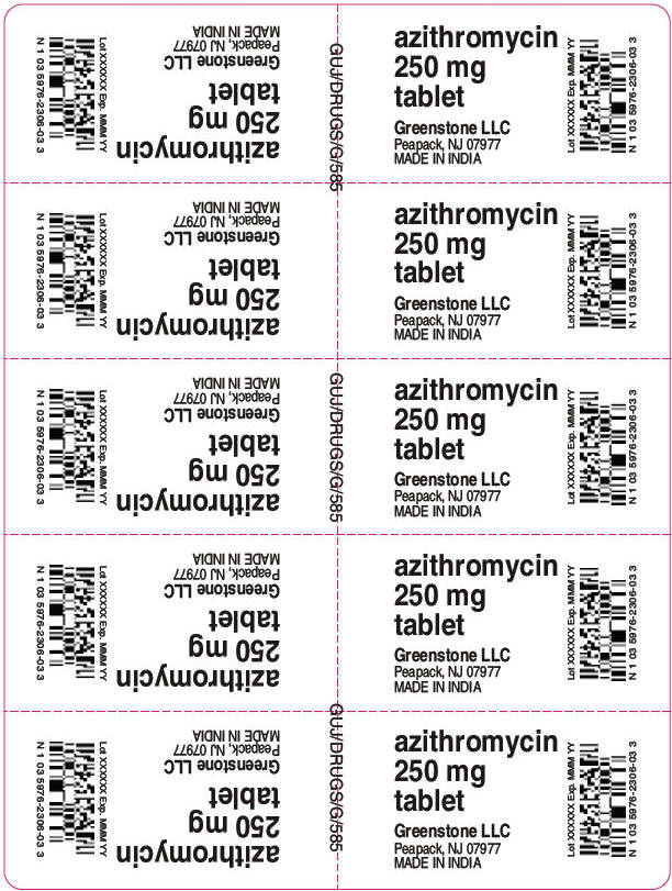 PRINCIPAL DISPLAY PANEL - 250 mg - Unit Dose Blister Pack