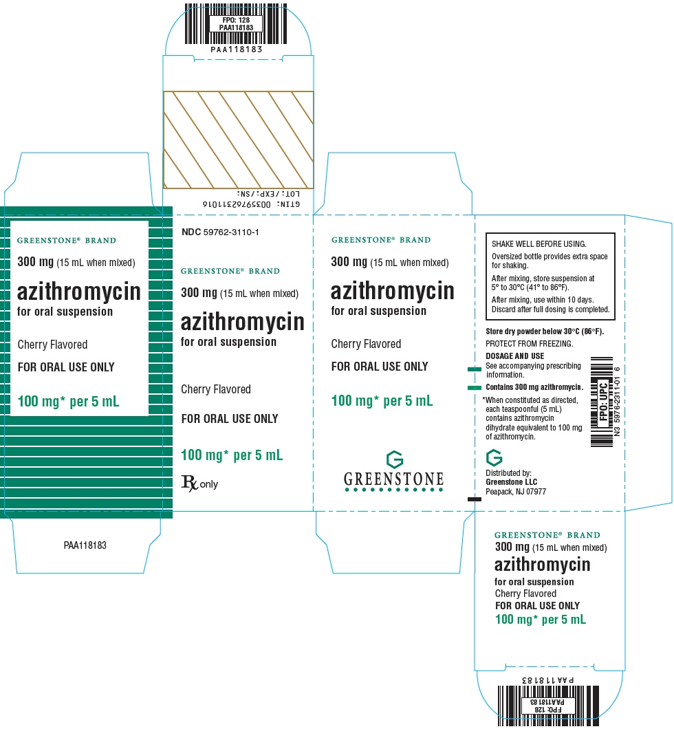 PRINCIPAL DISPLAY PANEL - 300 mg Bottle Carton