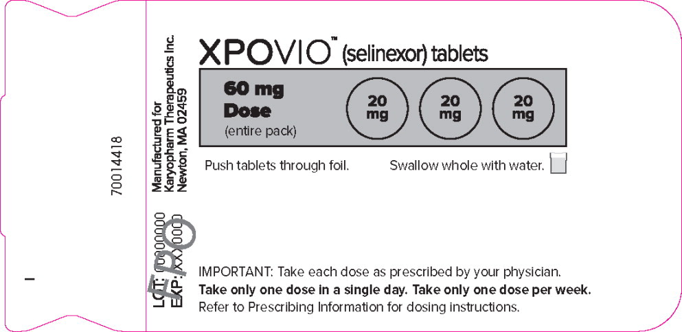 Principal Display Panel – 60 mg Blister Pack Label
