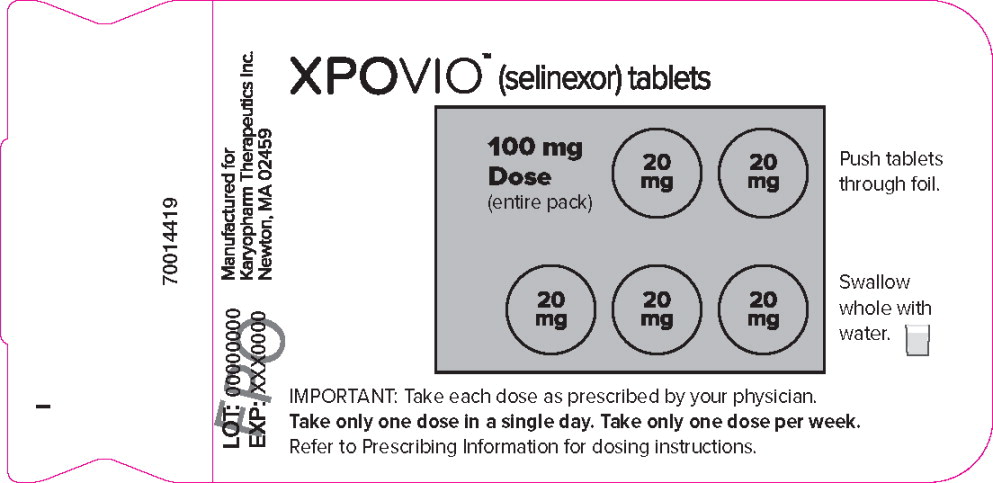 Principal Display Panel – 100 mg Blister Pack Label
