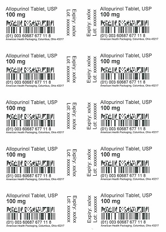 100 mg Allopurinol Tablet Blister