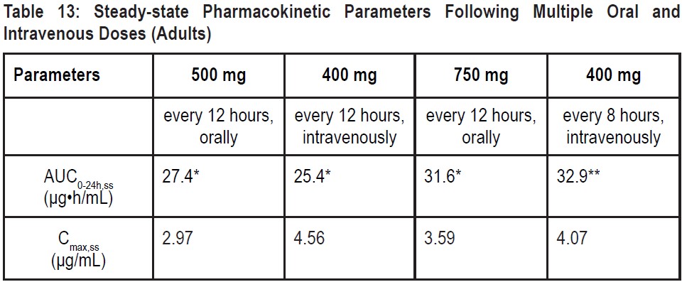 Steady Pharmacokinetic