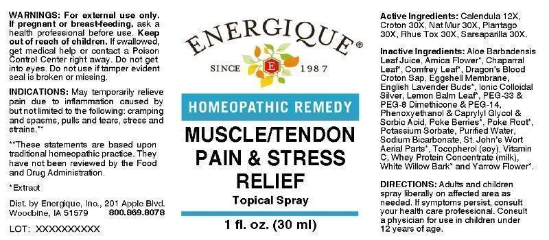 Muscle/Tendon Pain & Stress Relief