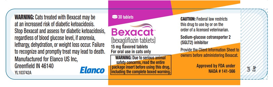 Principal Display Panel - Bottle Label 30 Tablets