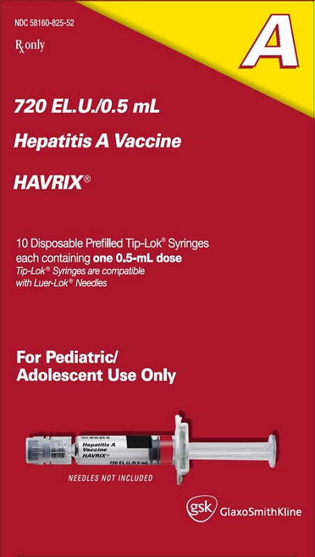 Havrix Pediatric 10 count carton