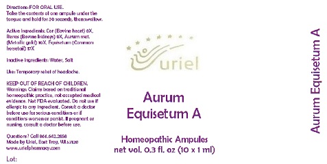 AurumEquisetumAAmpules