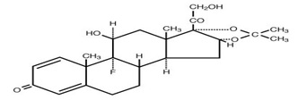 triam-aceto.jpg