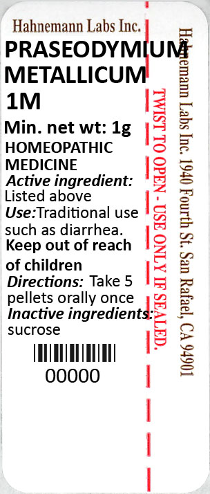 Praseodymium Metallicum 1M 1g