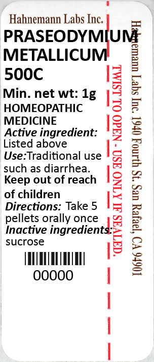 Praseodymium Metallicum 500C 1g