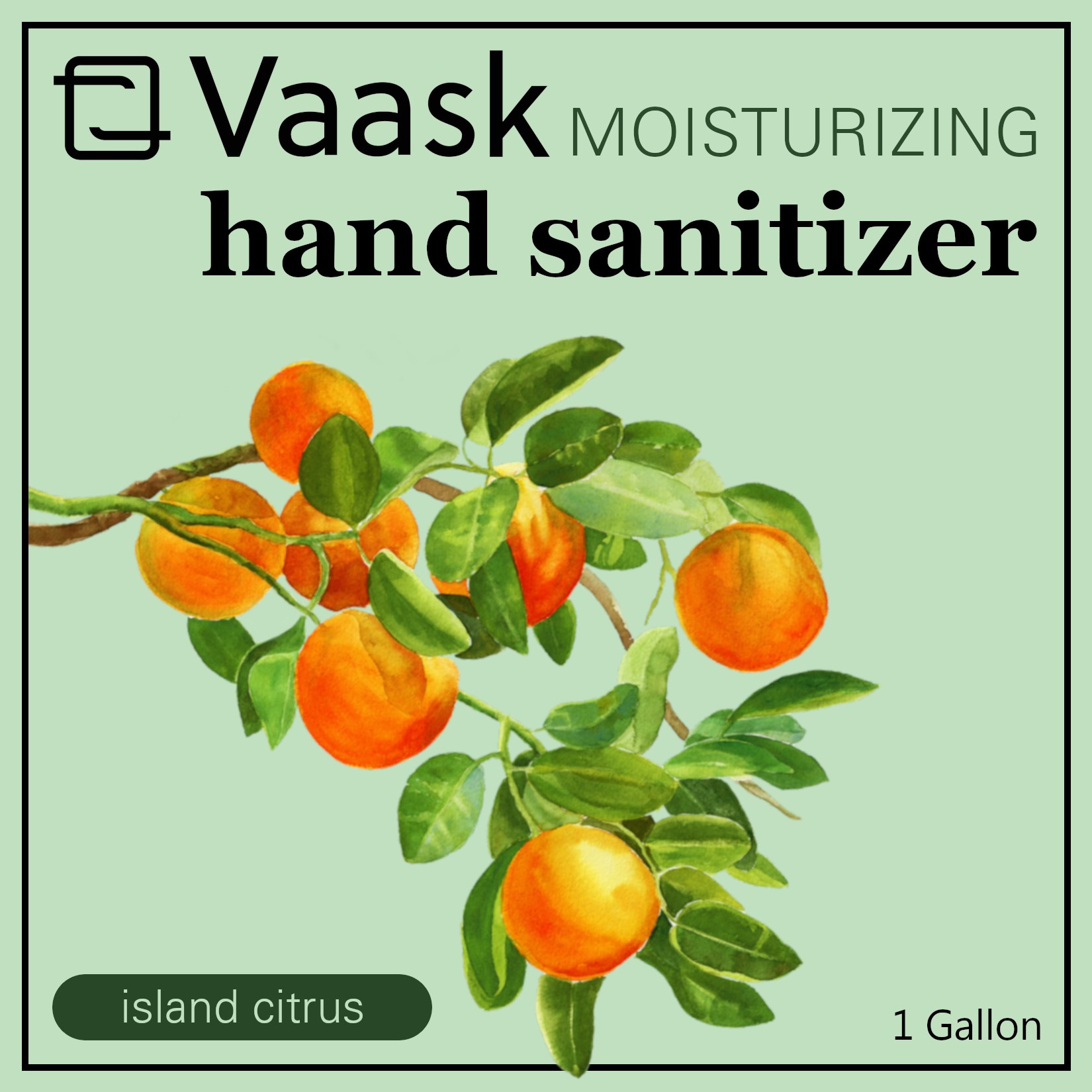 Vaask Moisturizing hand sanitizer