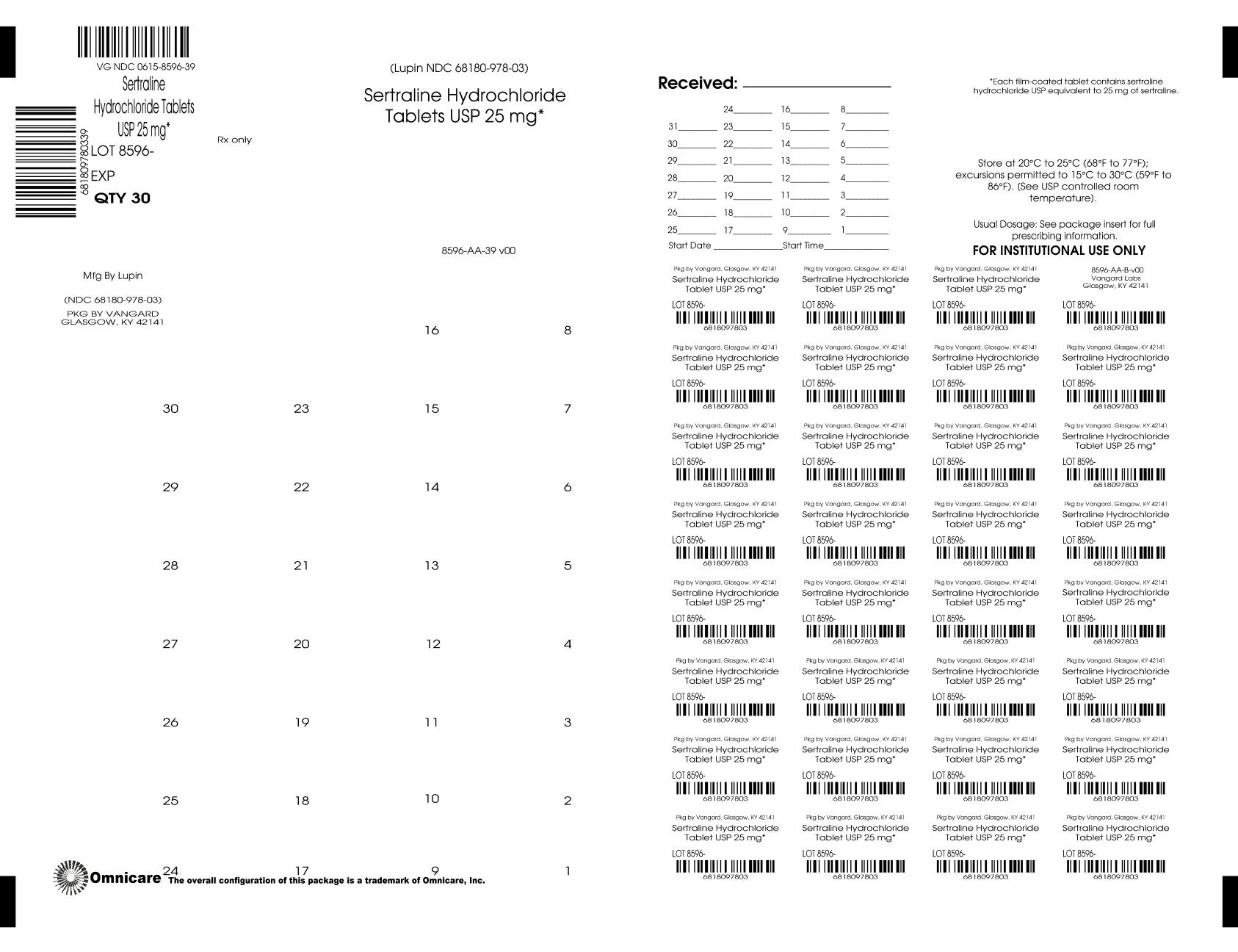 PRINCIPAL DISPLAY PANEL