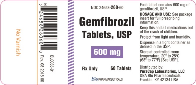 Gemfibrozil 600 mg 60ct.jpg