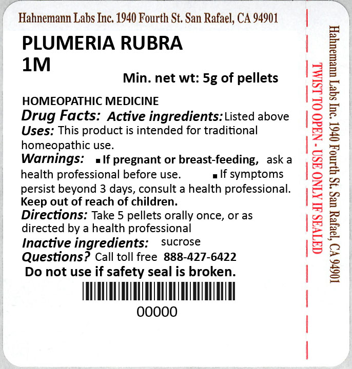 Plumeria Rubra 1M 5g