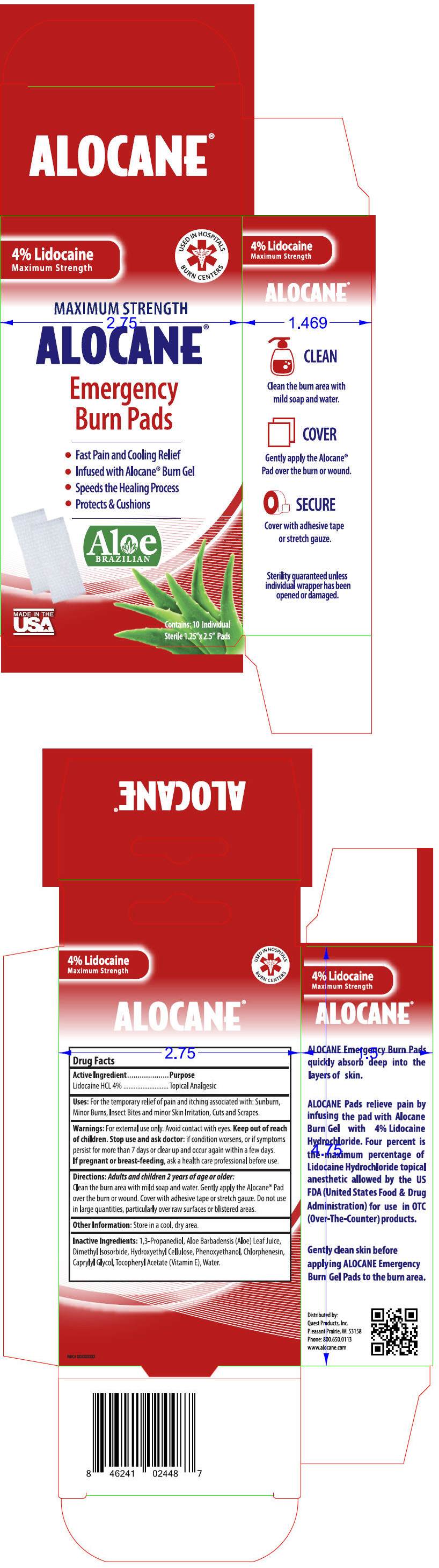 PRINCIPAL DISPLAY PANEL - 10 Pad Box