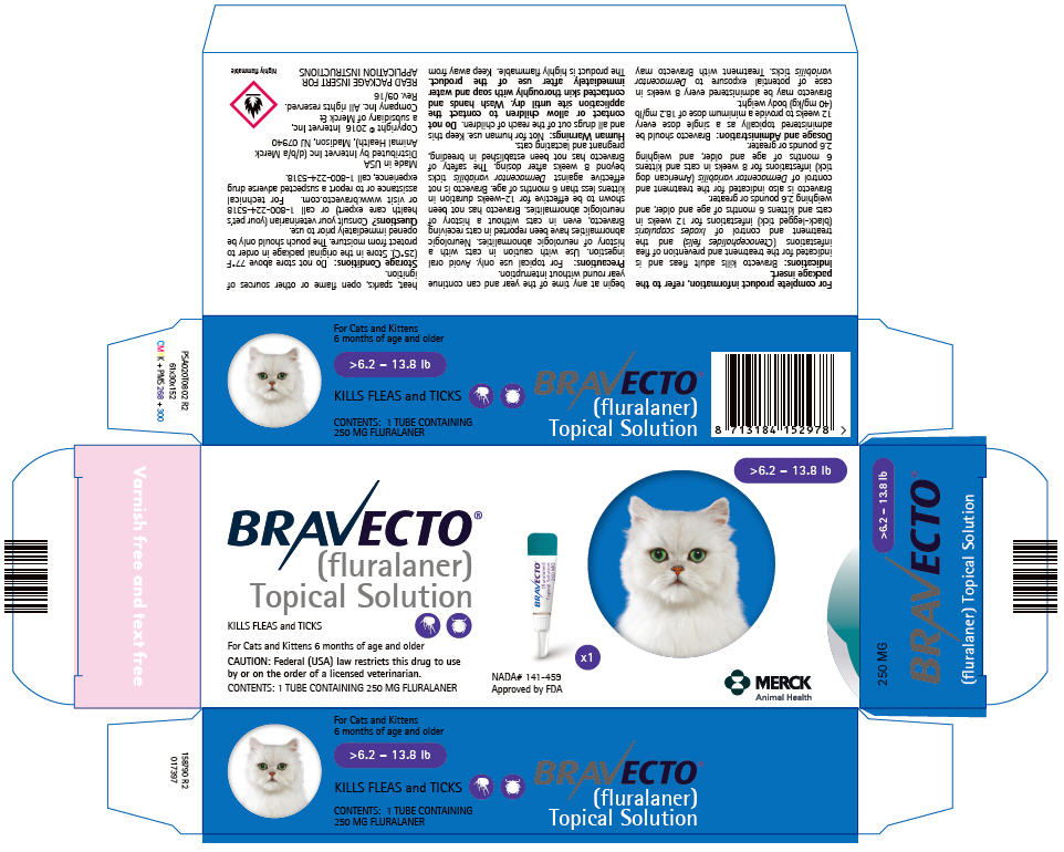 PRINCIPAL DISPLAY PANEL - 250 MG Tube Carton