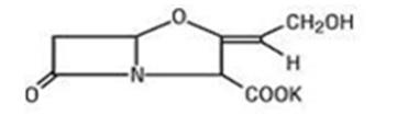 The following Chemical structure of Clavulanic acid is produced by the fermentation of Streptomyces clavuligerus. It is a beta-lactam structurally related to the penicillins and possesses the ability to inactivate some beta-lactamases by blocking the active sites of these enzymes. The clavulanate potassium molecular formula is C8H8KNO5 , and the molecular weight is 237.25.