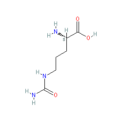 Chemical structure for CITRULLINE