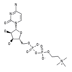 Chemical structure for CITICOLINE